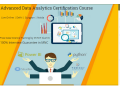 data-analyst-certification-course-in-delhi-110023-by-big-4-best-online-data-analyst-training-in-delhi-by-google-and-ibm-100-job-with-mnc-small-0